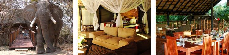 Accommodation: John s Camp (Full Board) OR Zambezi Expeditions is an exclusive camp located on the banks of the Zambezi River. The mobile camp is one the best ways to experience Mana Pools.