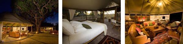 OR Classic Options ~ Little Makalolo Camp is located in a private concession area of Hwange National Park.