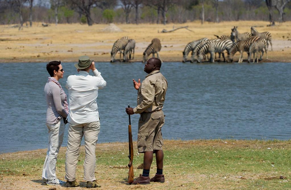 Zimbabwe's Hwange and Mana Pools Safari SOUTH