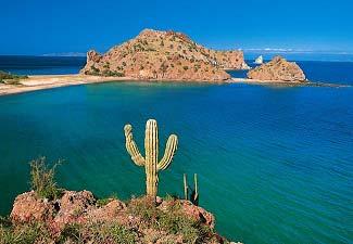 Tours and Packages Baja Tours & Resorts is an American company based in San Diego, with its branch offices in