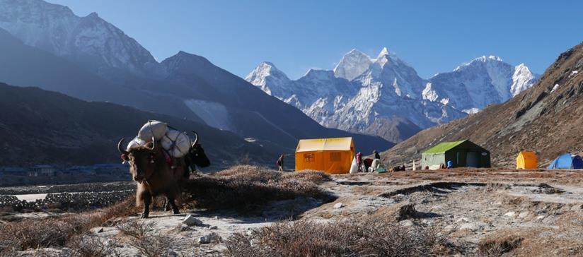 It is here that the climbers rest and recuperate when not actually up on the mountain, and our pre-monsoon trek groups (#1, #2 and #3) will have the privilege of spending the night at Base Camp