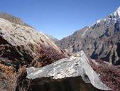 is supported by: Day 9 Sept 25, Fri Yalbang to Tumkot (3380m) (5.5 hrs.) 07:30 am An easy day s walk further up the Karnali River.