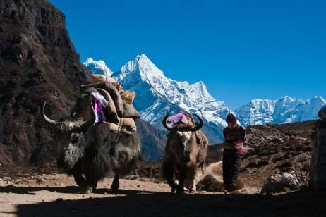 We will stop for a short and needed break enjoying the beautiful views of Everest, AmaDablam, Lhotse and we will have a chance to look around the monastery.