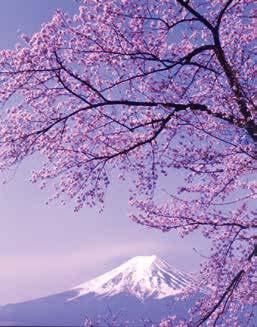 Tokyo Day Tours Mt Fuji 1-Day Express Experience Mt Fuji, Japan s most famous landmark.