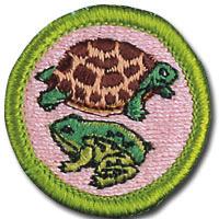 Scouts will be exposed to many of the elements of the other Eco-Con merit badges.