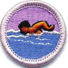 GLACIER S EDGE COUNCIL, BSA AQUATICS - SWIM Merit badge instruction occurs in the AM, Open Program in the PM and Evening Lifesaving Level: 2+ Review Pre-Camp: None Pre-Camp Work: 1 Revision: 2016 It