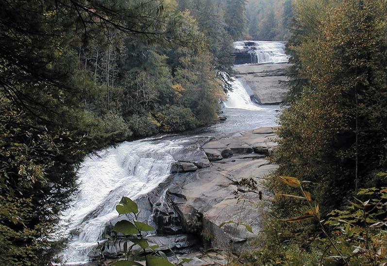 MOUNTAIN REGION 2 Photo credit: NC Forest Service Dupont State Forest Do you enjoy hikes with a reward at the end of the trail? Look no further than Dupont State Forest!