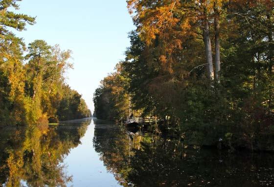 14 Photo Credit: Dismal Swamp State Park COASTAL PLAIN REGION Dismal Swamp Canal Trail and Paddle Trail Kayak, canoe, hike or bike along the amber colored waters of the historic Dismal Swamp Canal.
