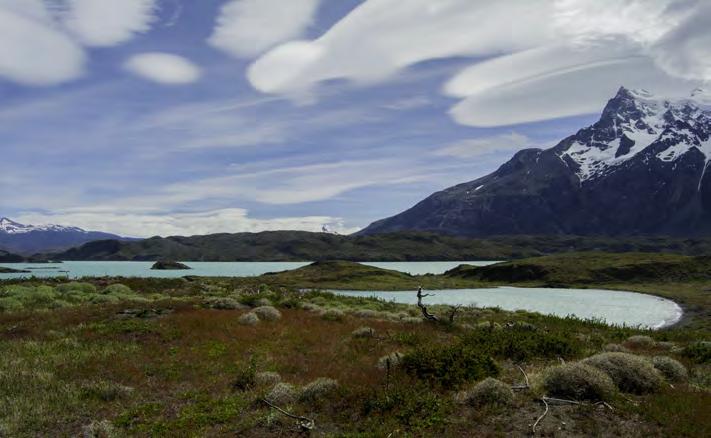 2 Nov 19 - Full Day excursion Torres del Paine National Park After breakfast we will enter the park stopping to get a look at the scenic Serrano River, then cross the Grey River and head to the Grey