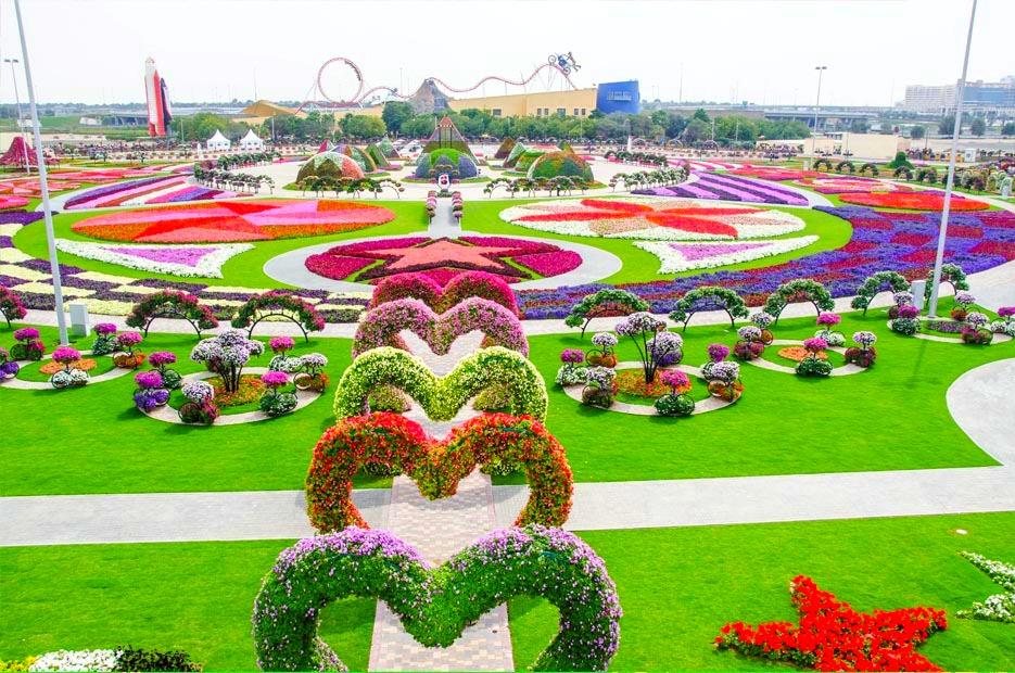MIRACLE GARDEN More than 45 million blooming flowers in stunning designs, awesome shapes and structures. An eye catching color combinations achieved through 45 different flower varieties and color.