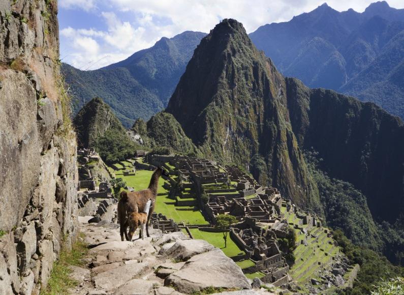 Jungle (in delightful, private bungalows) with Monkey Island, Lake Sandoval, fascinating jungle walks, wildlife & much more Sacred Valley of the Incas with Pisac Ruins, Sacshuaman and