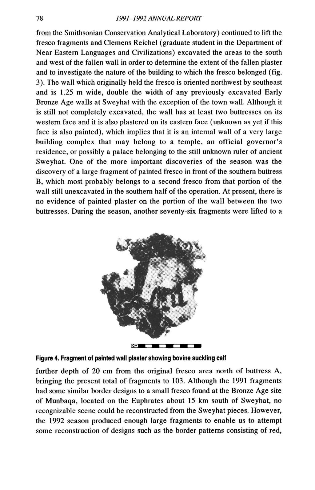 78 1991-1992 ANNUAL REPORT from the Smithsonian Conservation Analytical Laboratory) continued to lift the fresco fragments and Clemens Reichel (graduate student in the Department of Near Eastern