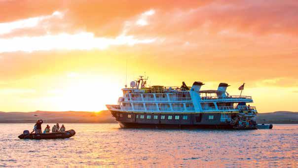 NATIONAL GEOGRAPHIC SEA BIRD & SEA LION CAPACITY: These twin ships each accommodate 62 guests in 31 outside cabins. REGISTRY: United States. OVERALL LENGTH: 152 feet.