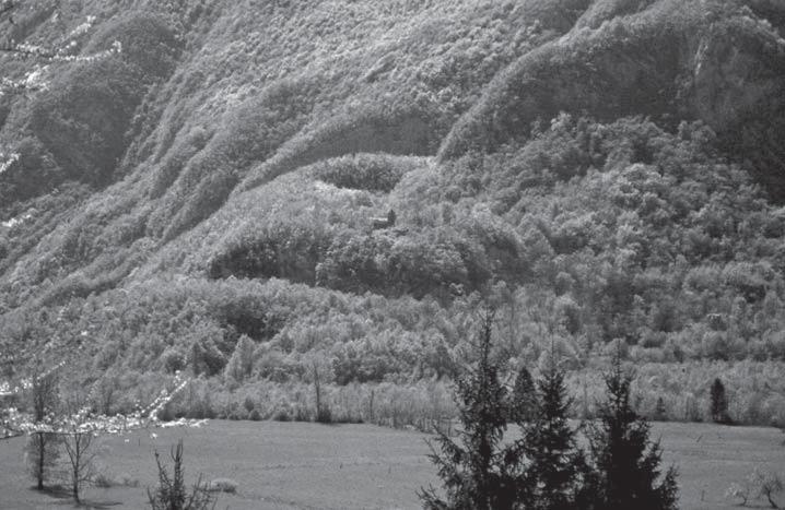Boštjan Kravanja Sv. Volar s pečino Debelo čelo na desni. Fotografija: B. Kravanja 2001. kota (do avstrijsko-beneške meje) in v Sužidu, a poglejmo si kako so svojo vlogo odigrali na sv.