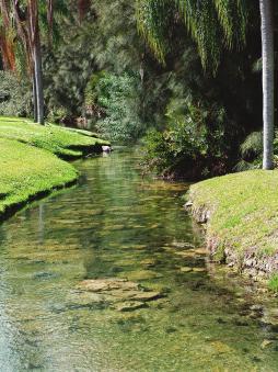 PROPERTY FEATURES Warm Mineral Springs produces 9 million gallons per day of new water infused with 51 essential minerals -- the richest density of minerals of any hot mineral springs in the United