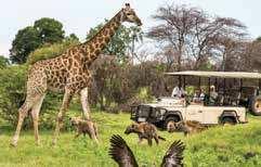 Africa with a visit to magniicent Victoria Falls Waterfall and a 2 night safari at a luxury game lodge.