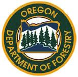 Department of Forest Resources