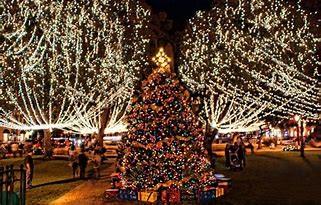 TRIPS St. Augustine Christmas & The Night of Lights December 10-11, 2018 Join us as we travel to St.