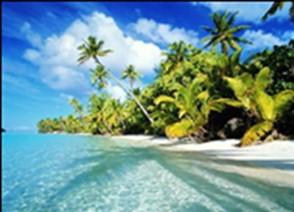 Western Caribbean Cruise June 28 - July 2, 2018 Sailing roundtrip from Tampa to Cozumel Inside Cabin Cat. 4C - $686 pp Ocean View Cat. 6B - $730 pp Ocean View Cat.