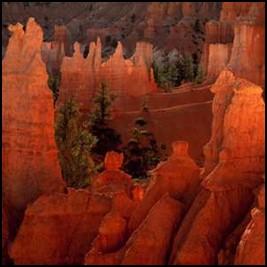 8 Circle the American West June 14-28, 2018 August 23 - September 6, 2018 $3,259 pp Double $4,348 pp Single Mother Nature has loaded the West with stunning scenery.