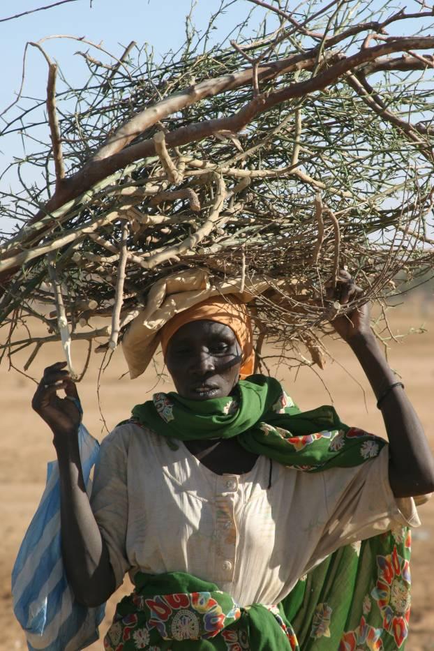 Personal Security and Food Security The cooking fuels that are collected consist of oushar, tundup, makhet, and straw from sorghum and millet. These shrubs have low caloric value as fuel.