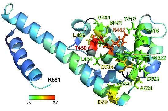 Smanjenje fluorescencije je direktno proporcionalno količini razvezane DNK. SSB protein. http://schmieder.fmpberlin.