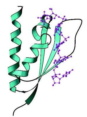 Isptivanje protein-dnk interakcija NMR-om Proto-onkogeni su delovi DNK koji kodiraju proteine koji imaju normalnu funkciju, ali pri mutaciji postaju onkogeni koji izazivaju rak.