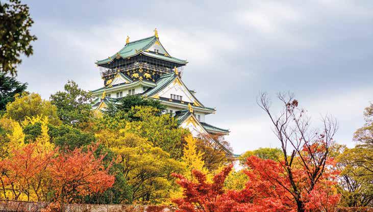 fall foliage cruises Brilliant red and gold hues are the hallmarks of an autumn voyage that transports you from Japan s ancient shrines and temples to the shores of South Korea.