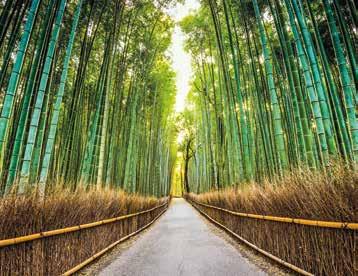 cruisetours Japan s cultural treasures and spectacular scenic wonders come to life during two unforgettable itineraries that combine a multiple-night land tour with your cruise.