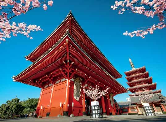 Arashiyama Bamboo Grove, Kyoto, Japan Senso-ji Temple,, Japan Highlights of Japan Cruisetour tour 3 13, 16 or 20 nights Temples & Traditions Cruisetour tour 4 15 or 18 nights Osaka Kyoto Nara Mt.