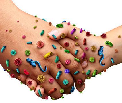 Germophobic Consider hand sanitizer an essential travel item 1.