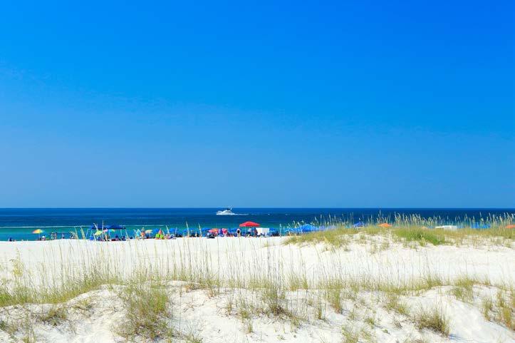 Top-of-Mind Descriptions of the Gulf Shores & Orange Beach Area Regional Travelers Consumers Amazing, fun (45.0%) Calm (41.