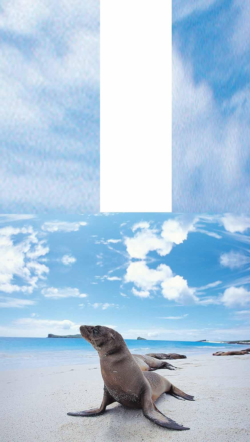 Dear Alumni and Friends, Join fellow alumni and friends as we explore the Galapagos Islands.