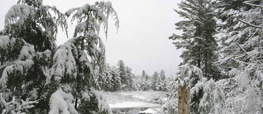 Winter 2016 THE LEGACY FOR ALL THOSE WHO LOVE THE LAKES REGION OF NEW HAMPSHIRE EXPANSION OF RED HILL RIVER CONSERVATION AREA In 2015 LRCT completed the acquisition of 44 acres of land that expands