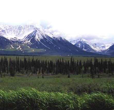 The movement of each glacier helped to form the dramatic landscape of Denali many thousands of years ago.