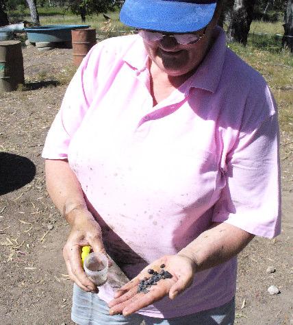 5 Carrie was happy to show us the ropes. She also showed us a very nice dark blue sapphire she had found previously and had cut to make a pendant necklace.