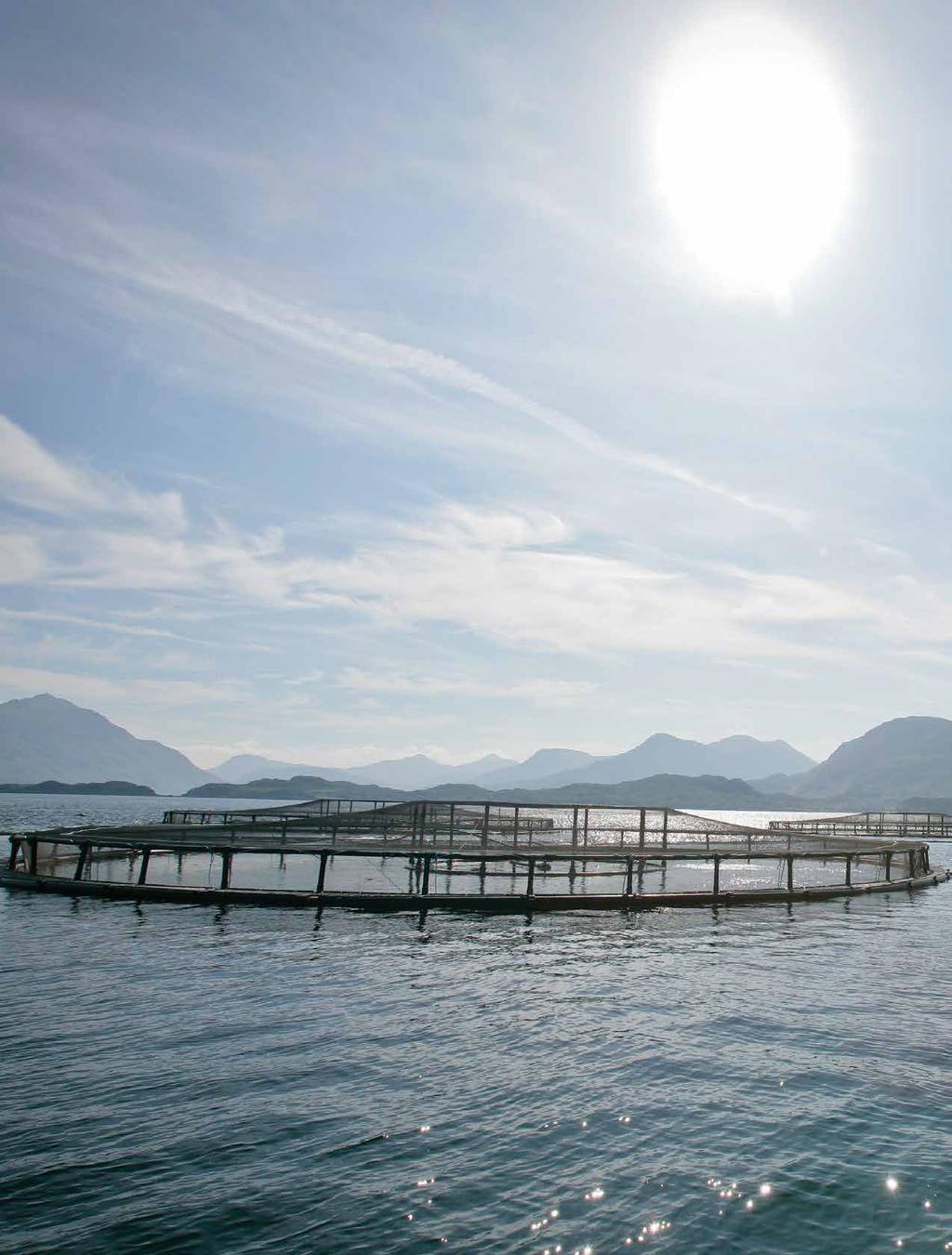 Sustainable Scottish salmon Scottish Salmon Farming Economic Report