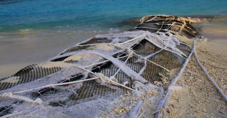 Councils CSOs Beach erosion protection Mangrove replanting Waste management Bird protection breeding platforms Corel reef