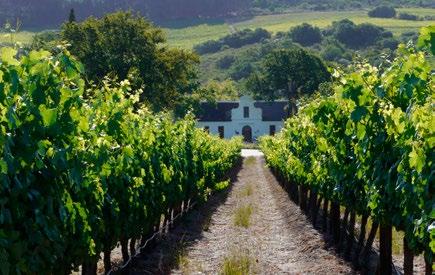 to award-winning vineyards and stunning