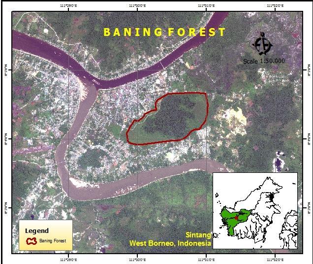 The Baning NTP area has the potential of authenticity, the beauty of comfort, hygiene and security as a peat swamp forest ecosystem to be developed as an ecotourism area and become one of the