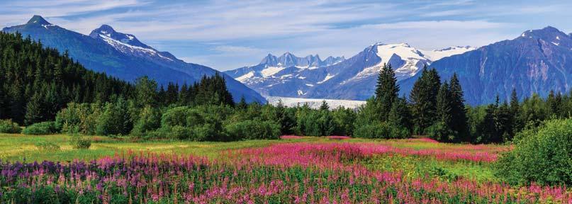 DEAR ALUMNI AND FRIENDS, Embark on a once-in-a-lifetime adventure to Alaska, an unspoiled wonderland where breathtaking glaciers rise above silver-blue seas, spectacular wildlife abounds, and verdant