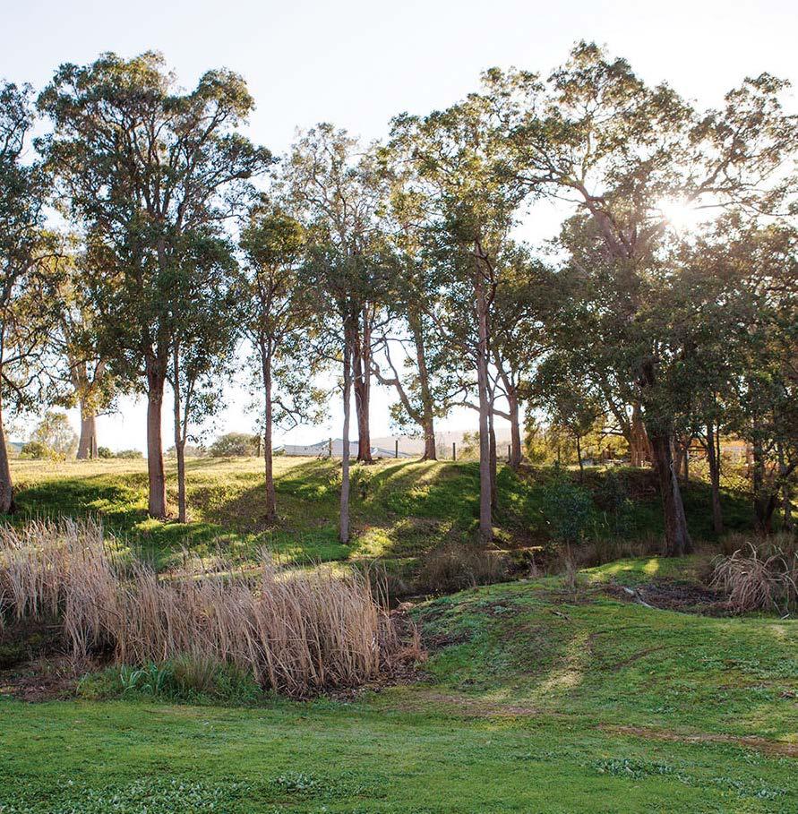The Brook at Byford Leasing, The Brook Location Byford Land Area 32.3 ha Distance to Perth CBD 33 kms Corridor / Location South East Acquisition Value $6.