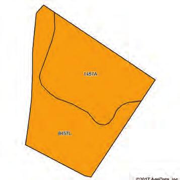 Tract 4 is situated in Sections 28 and 29 of Precinct 13