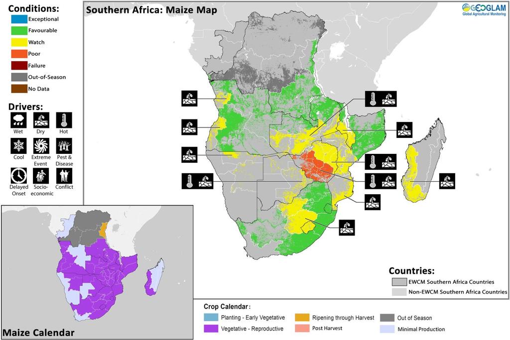 Maize Production Perspectives The GEOGLAM crop monitoring latest report shows areas of concern for maize production.