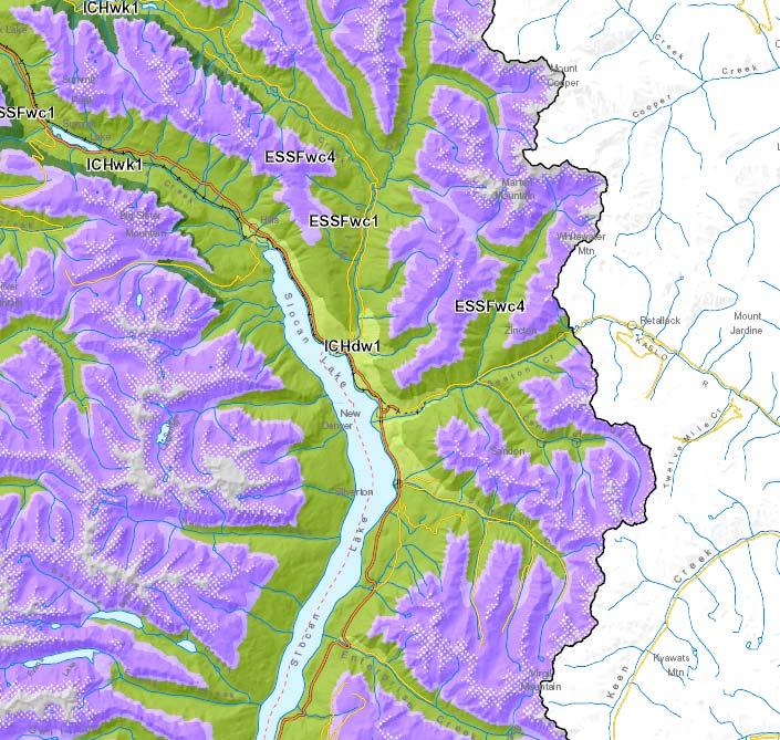 3.0 THE STUDY AREA Our Upper Slocan Valley study area encompasses the entire Upper Slocan Lake watershed (east side) from Enterprise Creek in the south to Summit Lake in the north, and to the