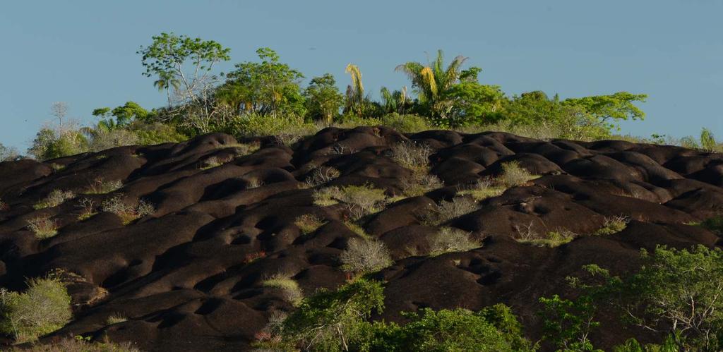 10 THE LANDSCAPE Rock formation of the El Tuparro Natural National Park (Vichada) Particular ecosystems are formed in this geographic region, since they are part of the Guiana Shield, one of the most