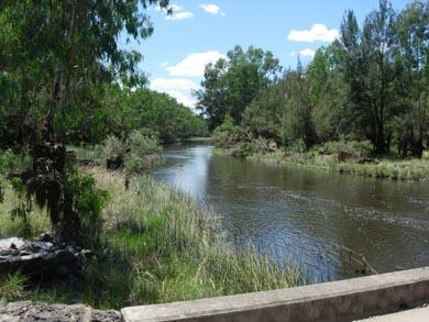 the weir is 65 metres wide, with an initial drop of approximately 1.6 metres.