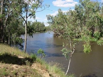 upstream from the confluence of the MacIntyre and Dumaresq Rivers.