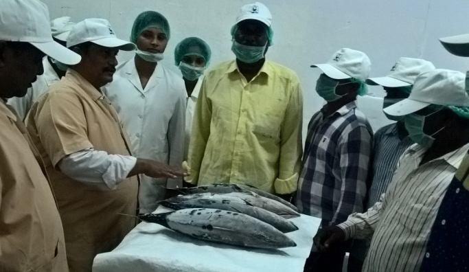 On 24 th August 2017, an exposure visit to a fish processing and export unit at Visakhapatnam was arranged for 10 nos.