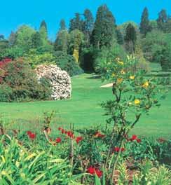 England Leonardslee January The Savill Garden in Surrey, part of Windsor Great Park, was